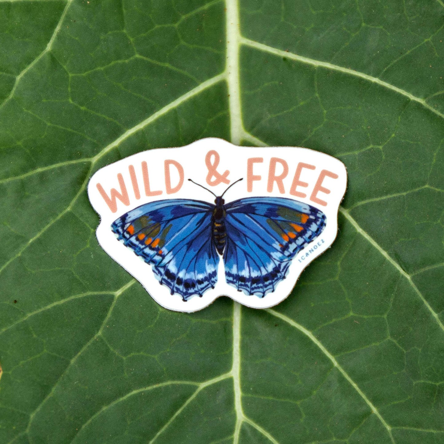 Wild & Free Butterfly Decal Sticker