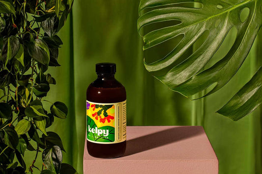 Kelpy Plant Food 250ml/ 8.5 fl oz