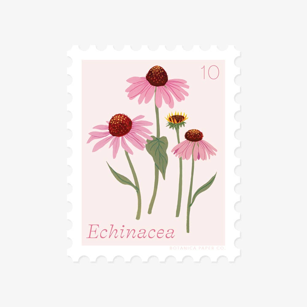 ECHINACEA, OCTOBER FLOWER | STAMP-STYLE VINYL STICKER